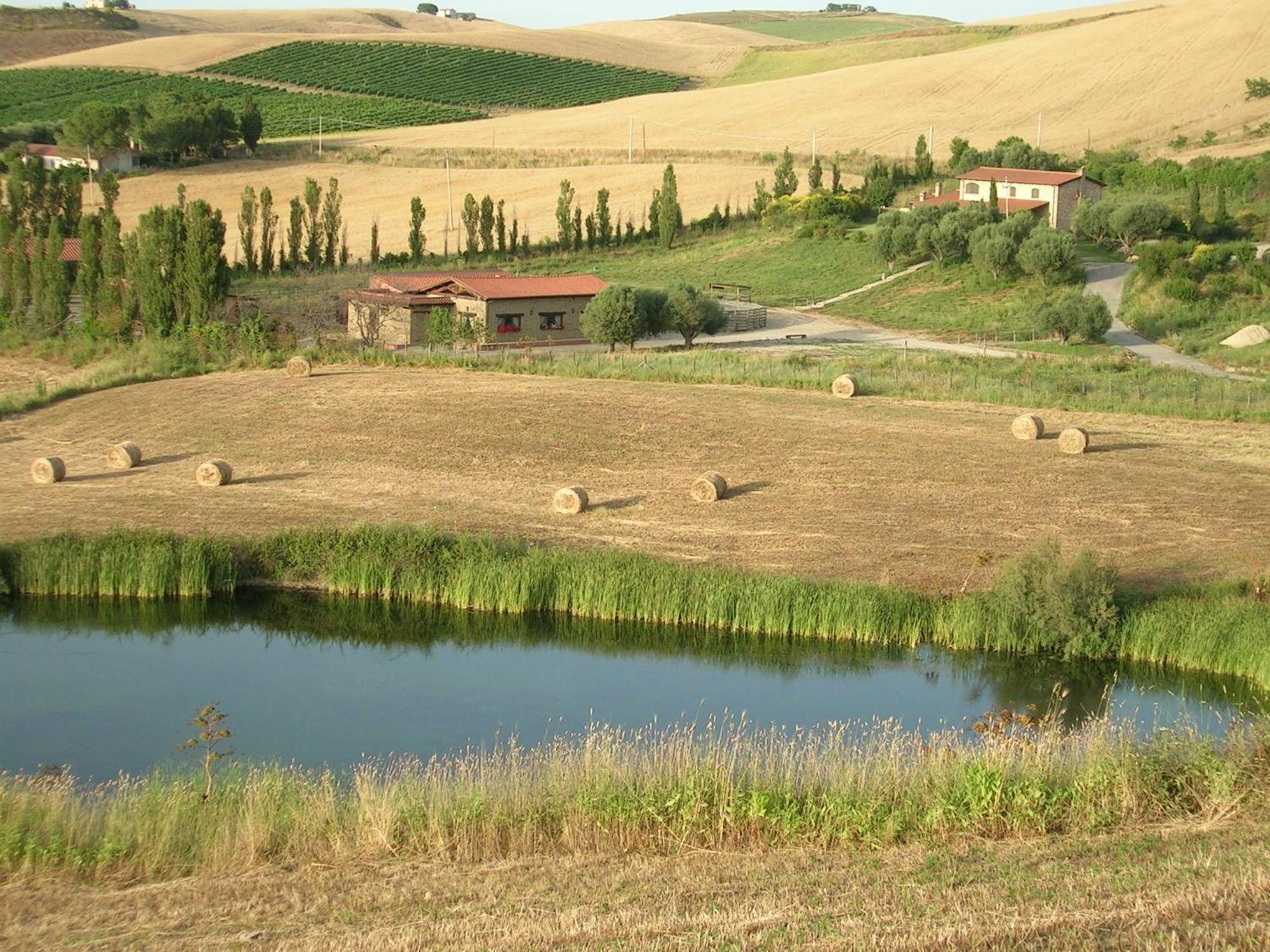 Casale Farnesiana B&B Tarquinia Exterior photo