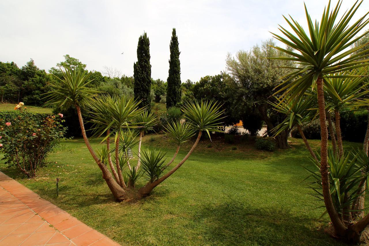 Casale Farnesiana B&B Tarquinia Exterior photo