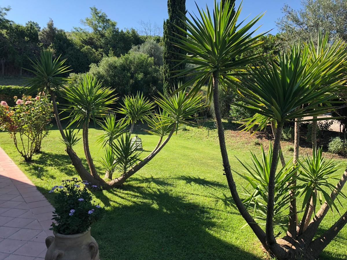 Casale Farnesiana B&B Tarquinia Exterior photo