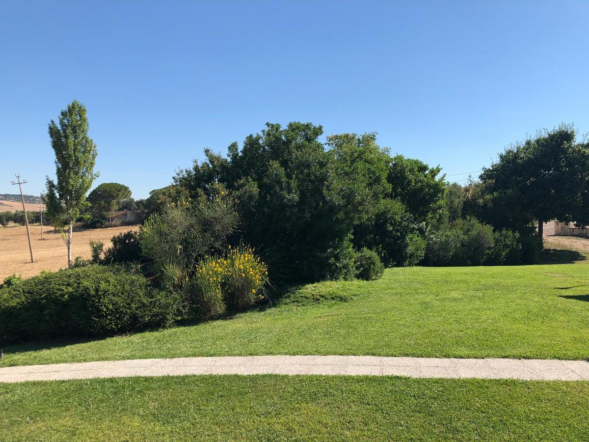 Casale Farnesiana B&B Tarquinia Exterior photo